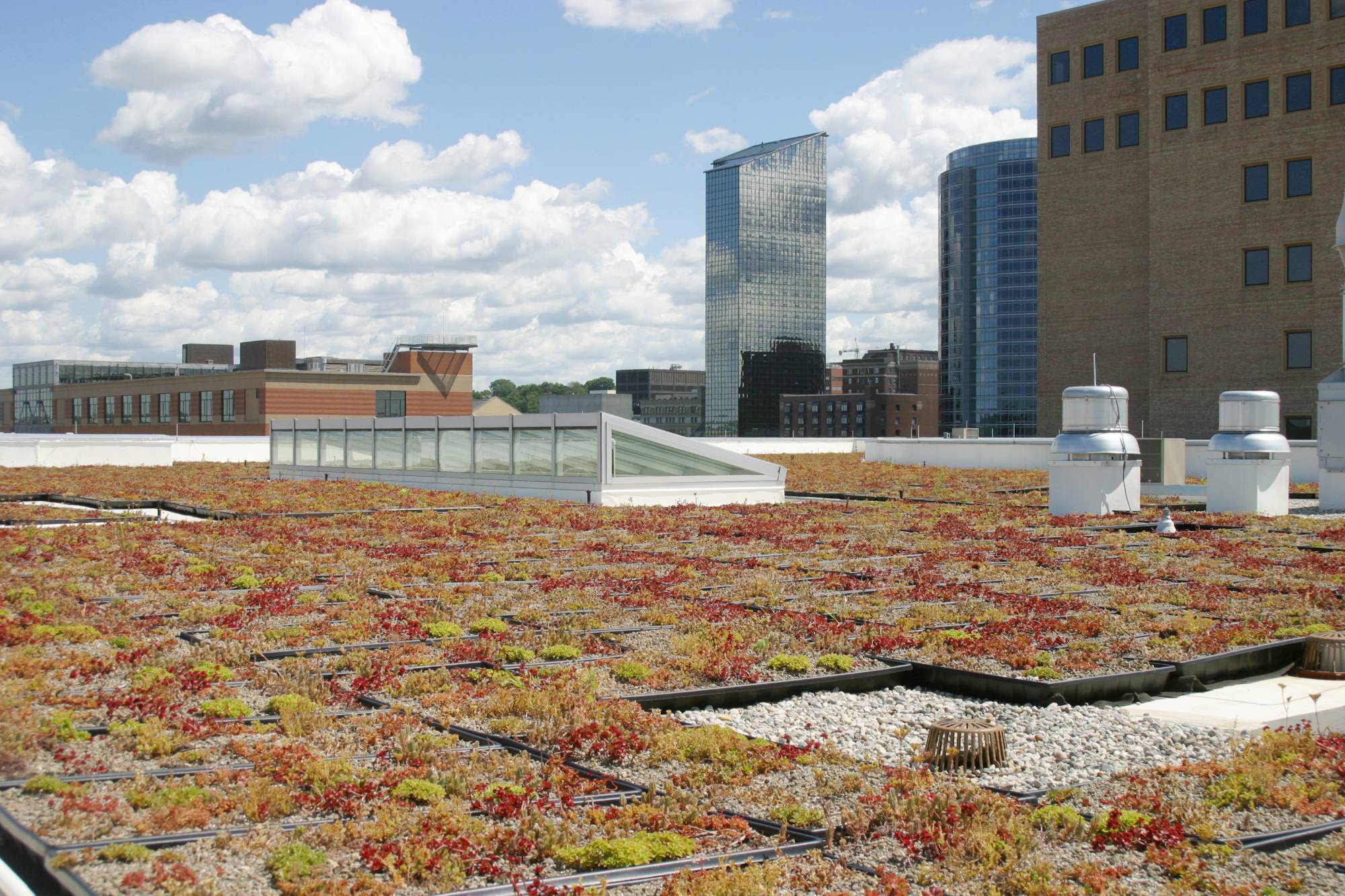 downtown campus roof garden